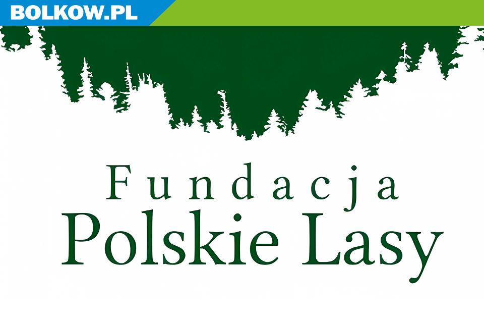 logo polskie lasy